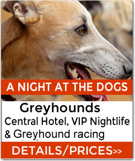 Newcastle Greyhound Racing