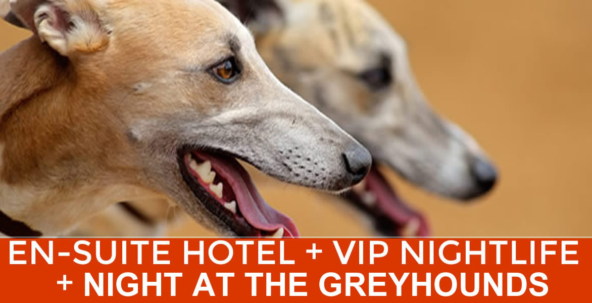 Newcastle Greyhounds